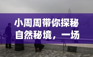唾沫横飞 第3页