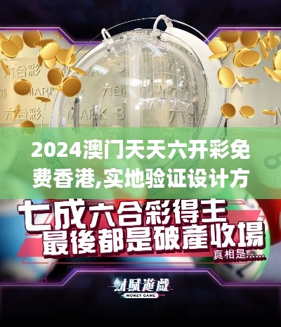 2024澳门天天六开彩免费香港,实地验证设计方案_入门版9.265