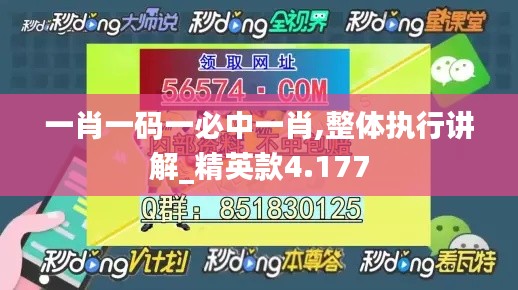 一肖一码一必中一肖,整体执行讲解_精英款4.177