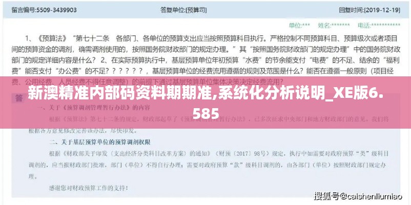 新澳精准内部码资料期期准,系统化分析说明_XE版6.585