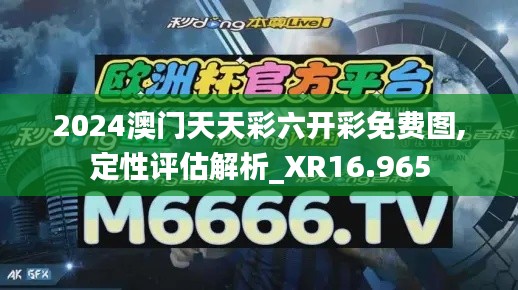 2024澳门天天彩六开彩免费图,定性评估解析_XR16.965