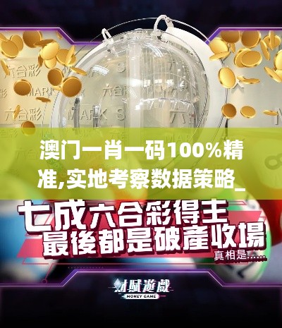澳门一肖一码100%精准,实地考察数据策略_投资版10.702