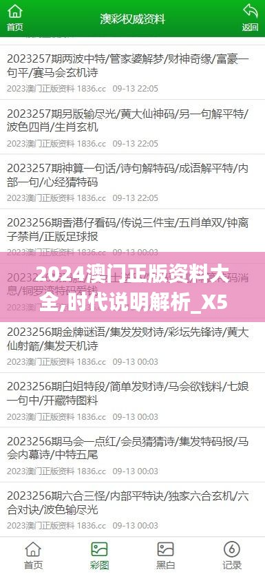 2024澳门正版资料大全,时代说明解析_X5.442