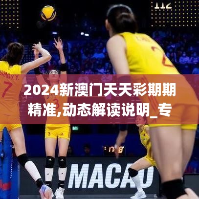 2024新澳门天天彩期期精准,动态解读说明_专属款15.122
