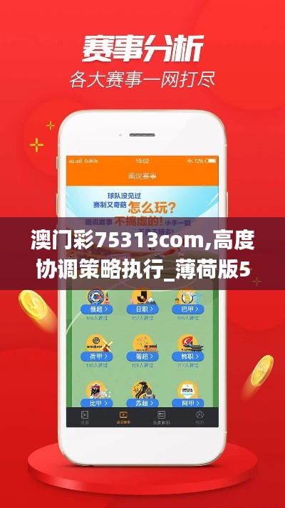 澳门彩75313com,高度协调策略执行_薄荷版5.337
