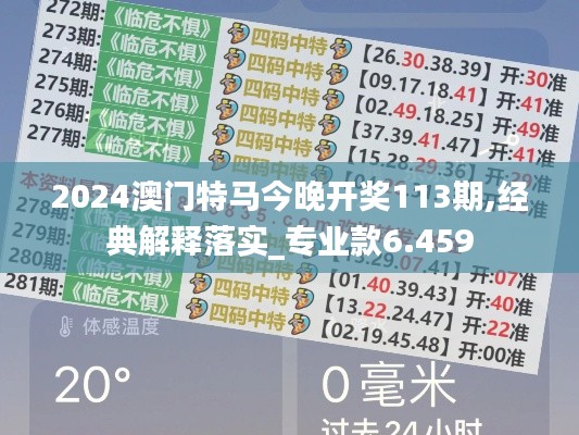 2024澳门特马今晚开奖113期,经典解释落实_专业款6.459