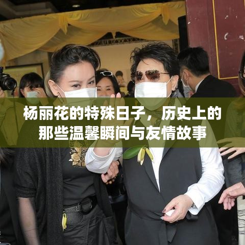 杨丽花特殊日子的友情瞬间与温馨故事回顾