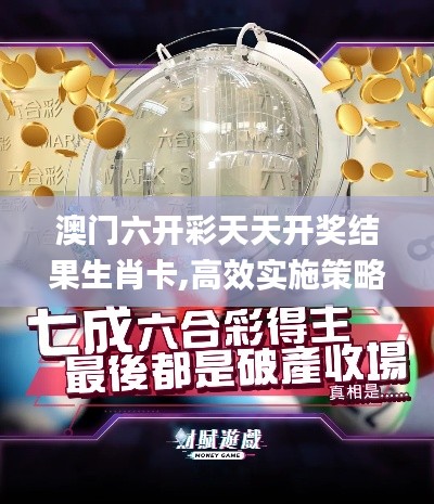 澳门六开彩天天开奖结果生肖卡,高效实施策略设计_Premium5.423