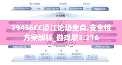79456CC濠江论坛生肖,安全性方案解析_游戏版3.216