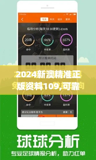 2024新澳精准正版资料109,可靠性执行方案_3DM4.809