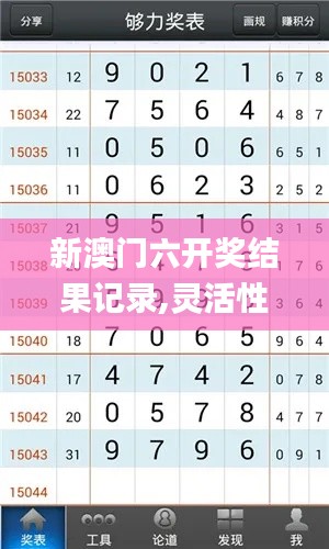 新澳门六开奖结果记录,灵活性方案解析_挑战版4.490