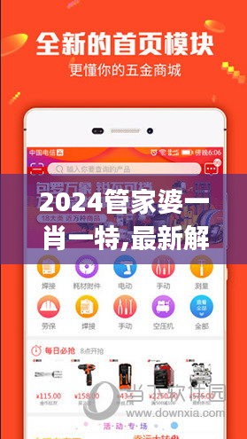 2024管家婆一肖一特,最新解答方案_特别款10.301