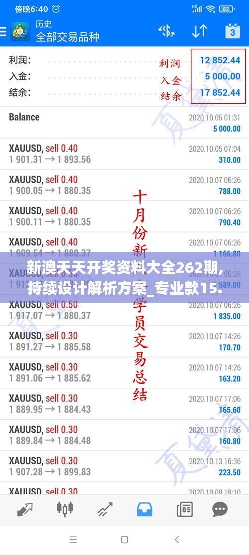 新澳天天开奖资料大全262期,持续设计解析方案_专业款15.876