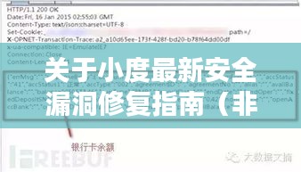小度安全漏洞修复指南，初学者与进阶用户的必备指南