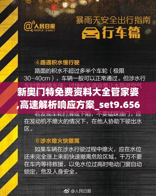 新奥门特免费资料大全管家婆,高速解析响应方案_set9.656