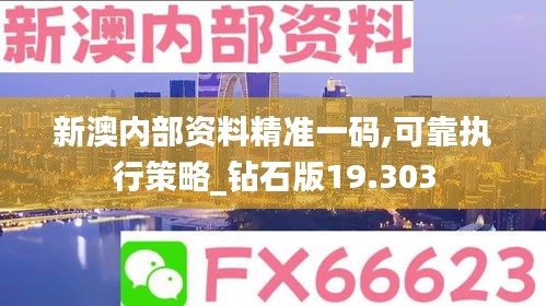 新澳内部资料精准一码,可靠执行策略_钻石版19.303