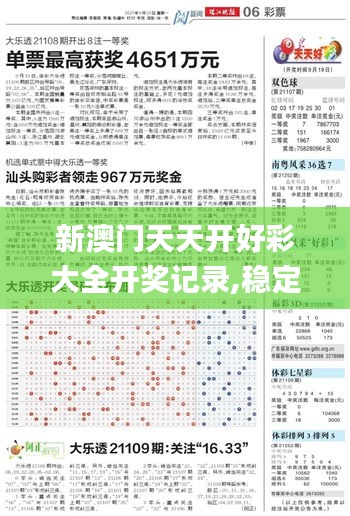 新澳门天天开好彩大全开奖记录,稳定计划评估_高级版7.388
