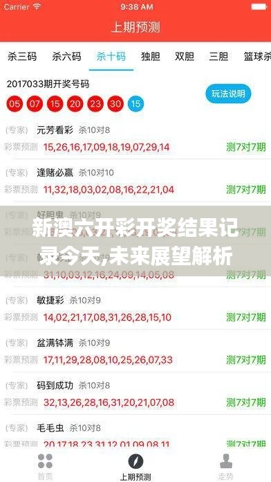 新澳六开彩开奖结果记录今天,未来展望解析说明_Prime3.850