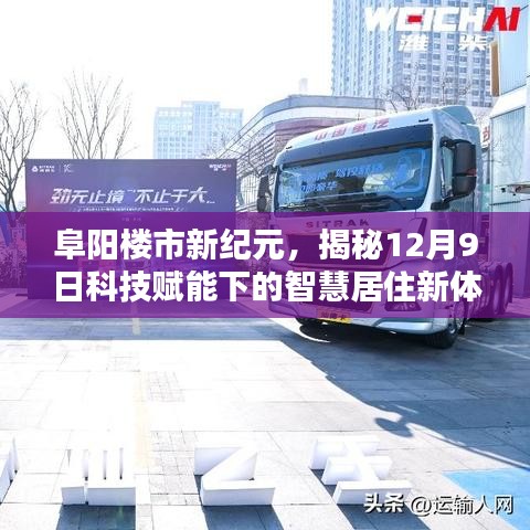 手不释卷 第2页