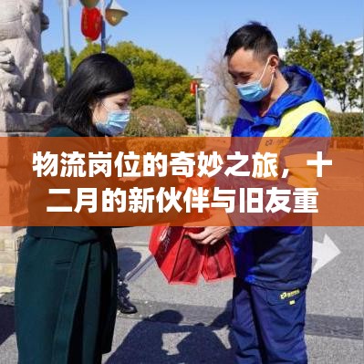 物流岗位奇妙之旅，新伙伴与旧友重逢的十二月记忆