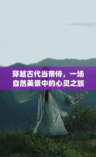 穿越古代当帝侍，一场自然美景中的心灵之旅