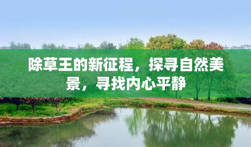 除草王的新征程，探寻自然美景，寻觅心灵宁静