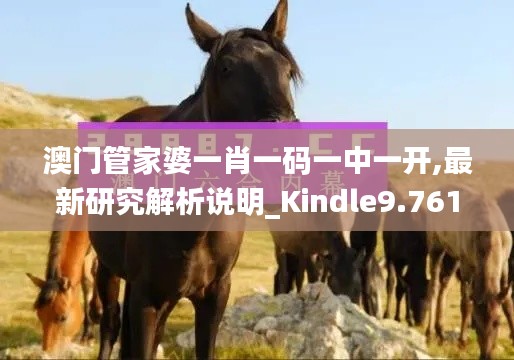 寥若晨星 第2页