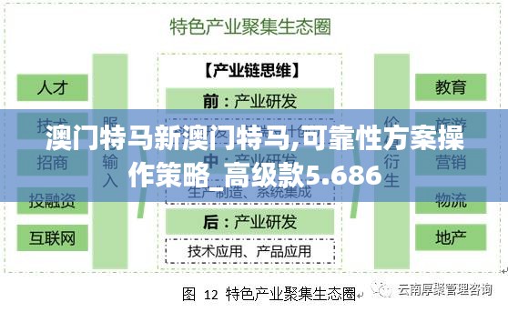 澳门特马新澳门特马,可靠性方案操作策略_高级款5.686