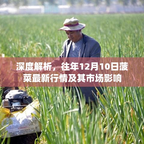 子母门 第118页