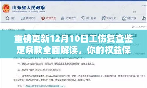 重磅更新，12月10日工伤复查鉴定条款深度解读，保障你的权益迎来新动态！