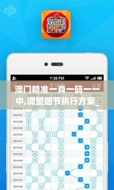 澳门精准一肖一码一一中,调整细节执行方案_set6.739