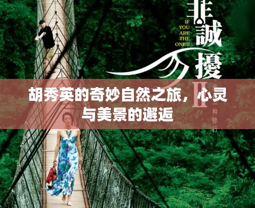 胡秀英的奇妙自然之旅，心灵与美景的交融