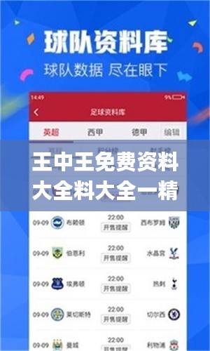 王中王免费资料大全料大全一精准,准确资料解释定义_交互版6.990