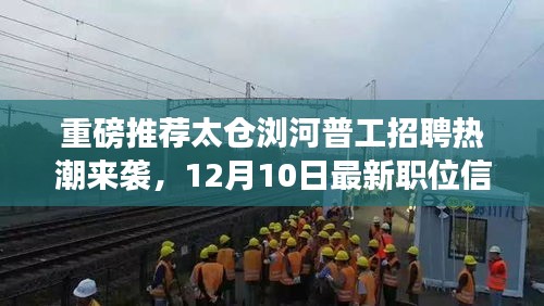 太仓浏河普工招聘热潮解析，最新职位信息全知晓，12月10日重磅推出