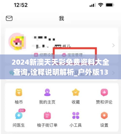 2024新澳天天彩免费资料大全查询,诠释说明解析_户外版13.268