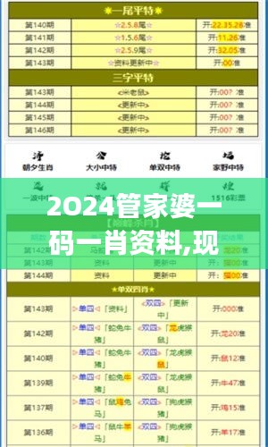 2O24管家婆一码一肖资料,现状分析解释定义_安卓1.563