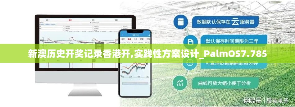 新澳历史开奖记录香港开,实践性方案设计_PalmOS7.785