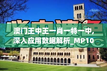 澳门王中王一肖一特一中,深入应用数据解析_MP10.268