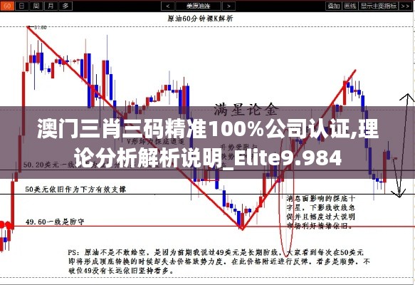 澳门三肖三码精准100%公司认证,理论分析解析说明_Elite9.984