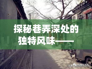 探秘巷弄深处的独特风味，MF8471实时动态揭秘，带你走进风味秘境（2024年12月14日）