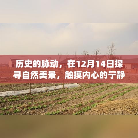 12月14日探寻自然美景之旅，历史的脉动与内心宁静的触摸