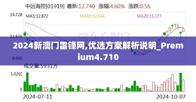 2024新澳门雷锋网,优选方案解析说明_Premium4.710