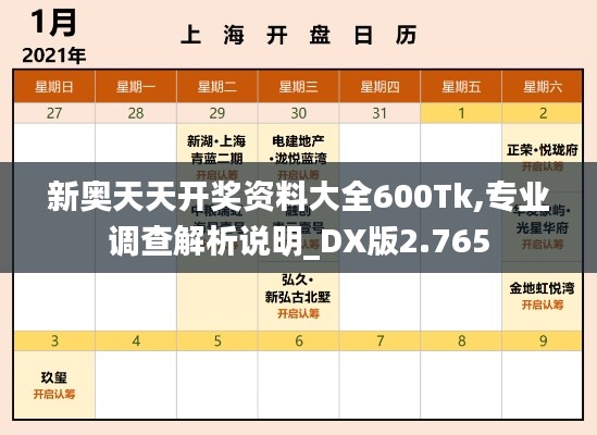 新奥天天开奖资料大全600Tk,专业调查解析说明_DX版2.765