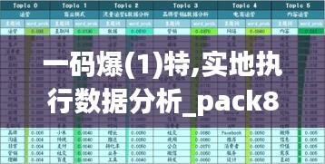 一码爆(1)特,实地执行数据分析_pack8.543