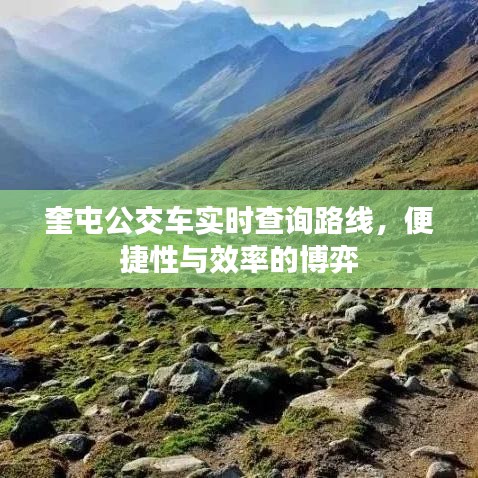 奎屯公交车实时查询路线，便捷性与效率的完美融合
