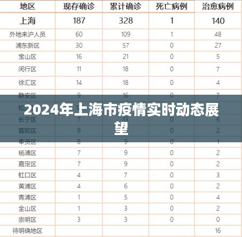 2024年上海市疫情实时动态展望及分析
