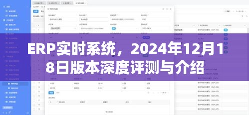 ERP实时系统深度评测与介绍，2024年12月18日版本概览