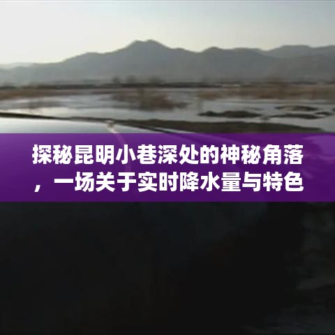 昆明小巷深处的神秘角落，实时降水量与特色小店的奇妙探秘之旅