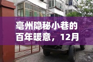 亳州隐秘小巷的百年暖意，邂逅特色小店与温馨气温