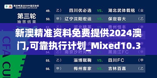 新澳精准资料免费提供2024澳门,可靠执行计划_Mixed10.359